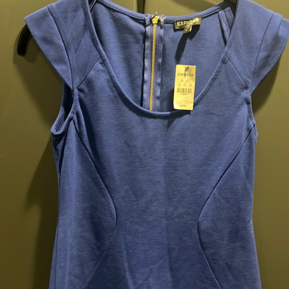 Express Blue Sleeveless Dress